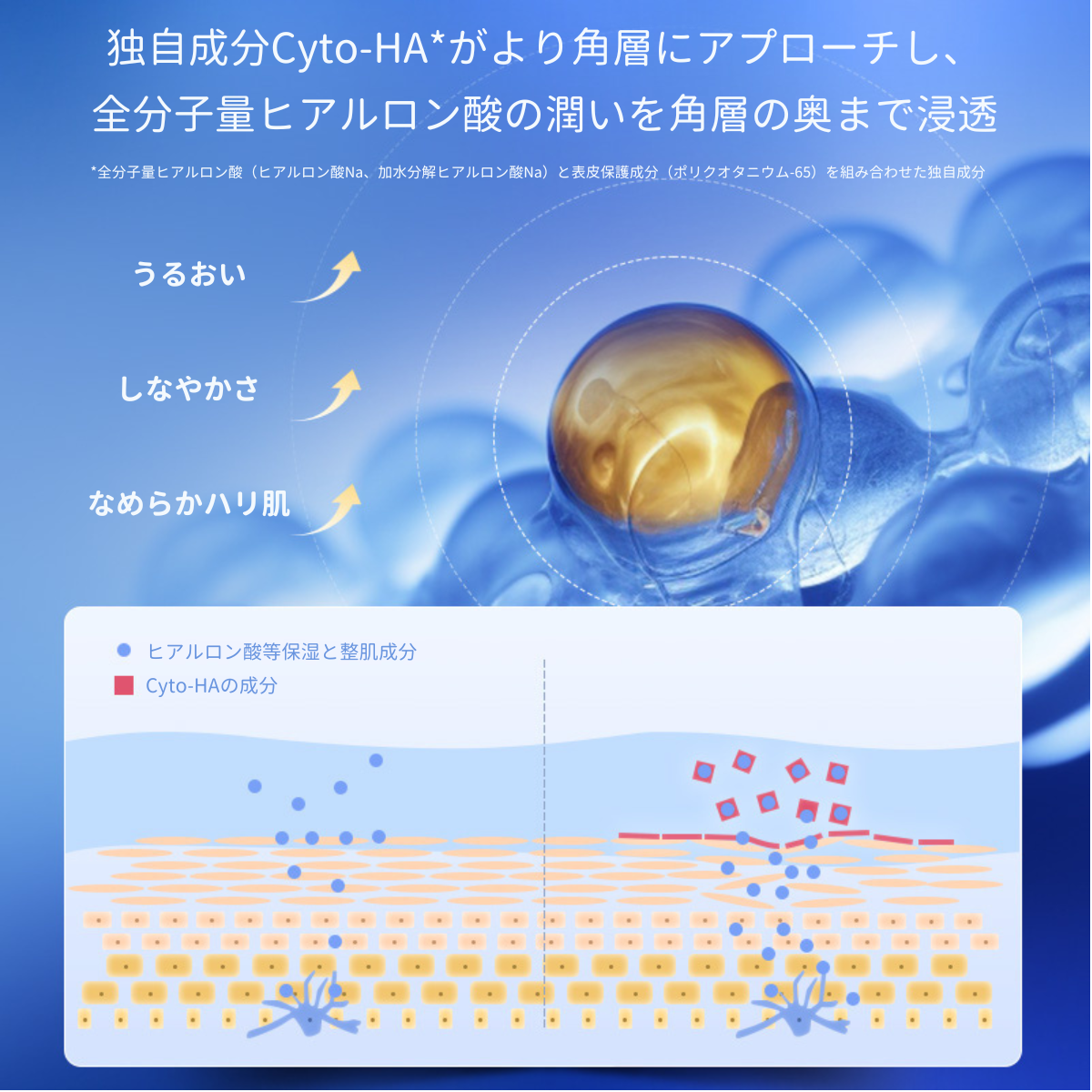 独自成分Cyto-HAが角層にアプローチし、全分子量ヒアルロン酸の潤いが角層の奥深くまで浸透
YOUTH ACTIVE SOOTHING EMULSION 100g